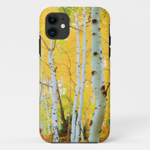 Funda Para iPhone 11 Colores de otoño de árboles de Aspen 1