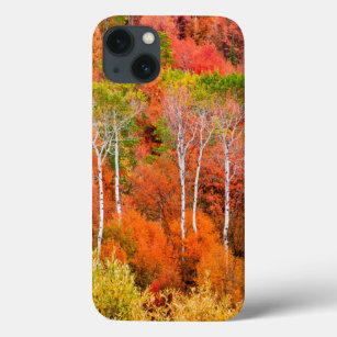 Funda Para iPhone 13 Colores De Otoño En Montañas Rocosas, Wyoming, EEU