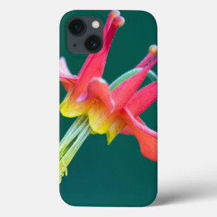 Funda Para iPhone 13 Columbina roja