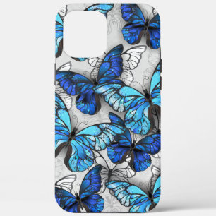 title_seo2 Composición de las mariposas blancas y azules