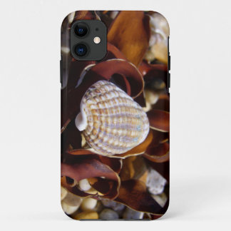 Funda Para iPhone 11 Concha