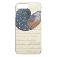 Concha de mar romántica