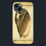 title_seo2 Concha Rustica Vintage<br><div class="desc">Este trabajo de Vision Studio captura algunos de los mejores de la vida marina. Obtén esta pieza rústica de arte de esta concha de la Concha. Lleva el océano contigo a donde vayas.</div>