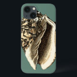 Funda Para iPhone 13 Concha verde azulada<br><div class="desc">En esta hermosa y clásica concha de conchas negras y blancas se puede ver el sombreado de una concha natural muy nítida y clara. Se puede ir a la playa a buscar conchas o a jugar en la arena. Consiga hoy mismo este arte de concha verde azulado de estilo náutico...</div>