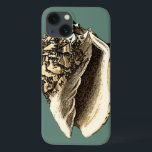 Funda Para iPhone 13 Concha verde azulada<br><div class="desc">En esta hermosa y clásica concha de conchas negras y blancas se puede ver el sombreado de una concha natural muy nítida y clara. Se puede ir a la playa a buscar conchas o a jugar en la arena. Consiga hoy mismo este arte de concha verde azulado de estilo náutico...</div>