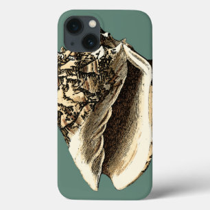 Funda Para iPhone 13 Concha verde azulada