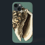 Funda Para iPhone 13 Concha Verde azulada<br><div class="desc">En esta bella concha clásica de conchas blancas y negras,  se puede ver el sombreado de una concha natural muy nítida y clara.  Se puede observar la playa buscando conchas o jugando en la arena. Consigue este arte de concha verde azulado estilo náutico en tus productos favoritos hoy mismo!</div>