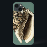 Funda Para iPhone 13 Concha verde azulada<br><div class="desc">En esta hermosa y clásica concha de conchas negras y blancas se puede ver el sombreado de una concha natural muy nítida y clara. Se puede ir a la playa a buscar conchas o a jugar en la arena. Consiga hoy mismo este arte de concha verde azulado de estilo náutico...</div>