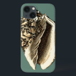 Funda Para iPhone 13 Concha verde azulada<br><div class="desc">En esta hermosa y clásica concha de conchas negras y blancas se puede ver el sombreado de una concha natural muy nítida y clara. Se puede ir a la playa a buscar conchas o a jugar en la arena. Consiga hoy mismo este arte de concha verde azulado de estilo náutico...</div>