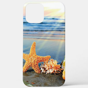 title_seo2 conchas de mar y estrellas de mar en la playa