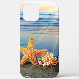 title_seo2 conchas de mar y estrellas de mar en la playa