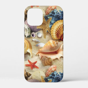 title_seo2 conchas marinas en la playa