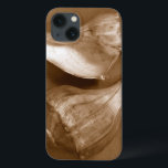 title_seo2 Conchas sensuales<br><div class="desc">Renee W. Stramel captura estas conchas en un hermoso tono sepia. Esta vintage pieza de arte es un complemento perfecto para los amantes de la anémona marina. Imprima su arte hoy en su producto.</div>