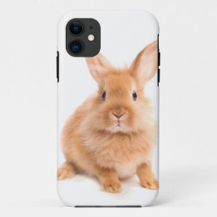 Funda Para iPhone 11 Conejo