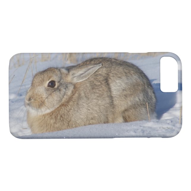 Funda De Case-Mate Para iPhone Conejo cola R5 en nieve (Reverso (horizontal))