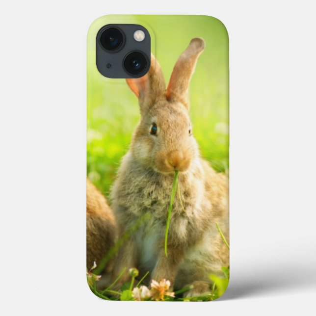 Funda De Case-Mate Para iPhone Conejos de Pascua (Reverso)