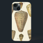 Funda Para iPhone 13 Conos de época<br><div class="desc">El artista Denis Diderot es talentoso y conocido por sus grandes imágenes de la vida marina. En esta vívida imagen, él captura estas conchas de cono cruzadas en su estilo más natural. Los pasteles son a menudo agrietados como estas cuatro conchas y en un tono sepia. Consigue tu producto de...</div>