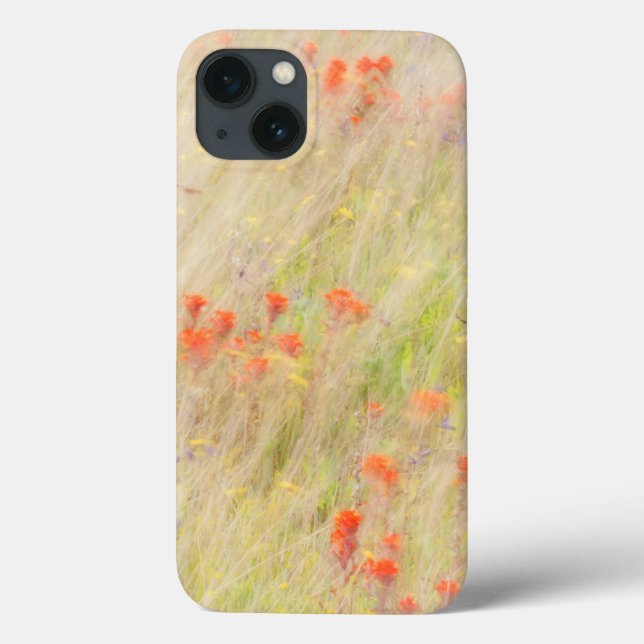 Funda De Case-Mate Para iPhone Conservación de la Naturaleza | Islas San Juan, WA (Reverso)
