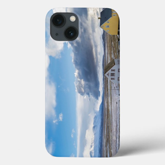 Funda De Case-Mate Para iPhone Contemporary Houses (Reverso)