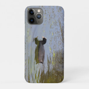 Funda Para iPhone 11 Pro Coot común en un estanque