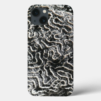 Funda Para iPhone 13 Coral blanco y negro I Resumen foto natural