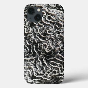 Funda Para iPhone 13 Coral negro y blanco I Foto abstracta de la natura