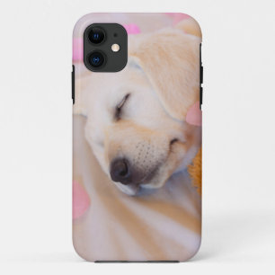 Funda Para iPhone 11 Cordones de manzana 02