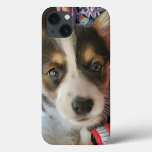 Funda Para iPhone 13 Corgi Puppy o su propia foto