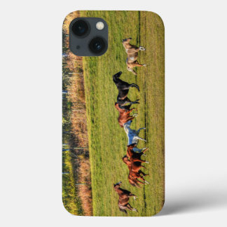 Funda Para iPhone 13 Corriendo rebaño de caballos y foto de ecuación de
