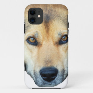 Funda Para iPhone 11 Cortar perro en cualquier fondo de color