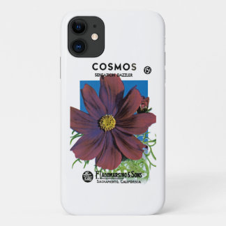 title_seo2 Cosmos