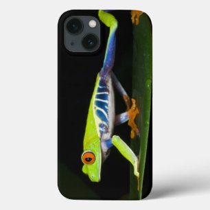 title_seo2 Costa Rica, rana arbórea Rojo-observada