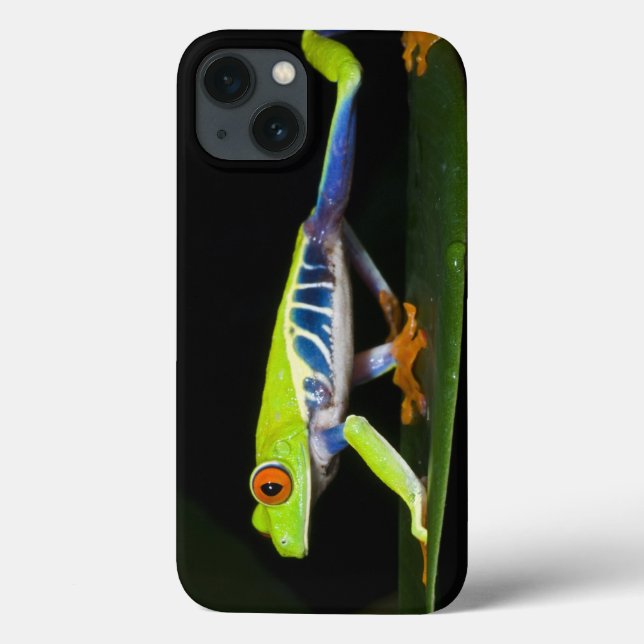 Funda De Case-Mate Para iPhone Costa Rica, rana arbórea Rojo-observada (Reverso)