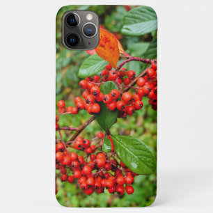 Funda Para iPhone 11 Pro Max Cotoneaster lacteus