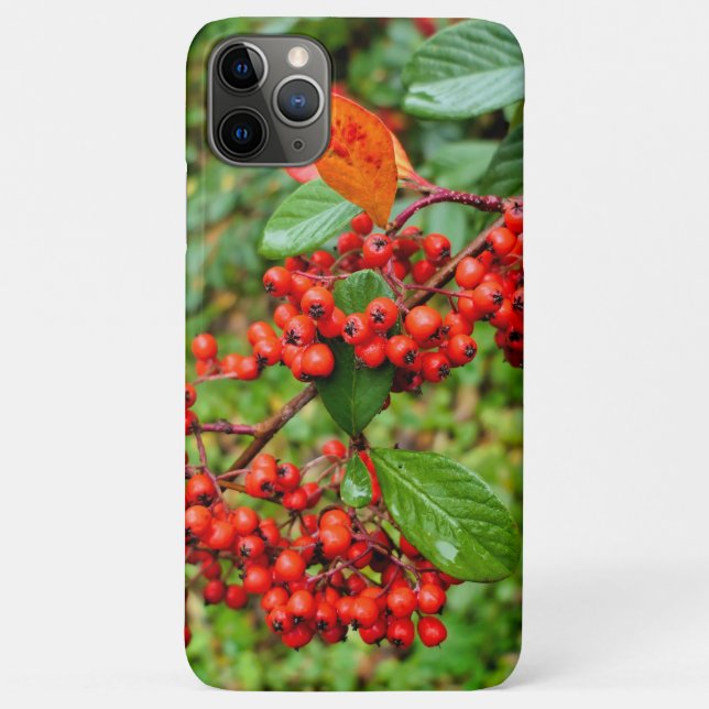 Funda De Case-Mate Para iPhone Cotoneaster lacteus (Reverso)