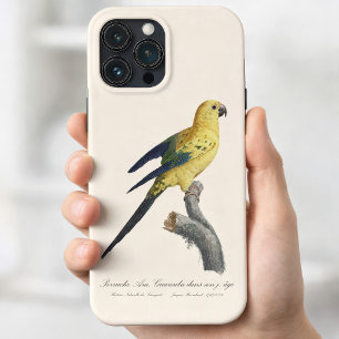 Funda Para iPhone 13 Pro Max Cotorra del Sol Joven o Aratinga solstitialis