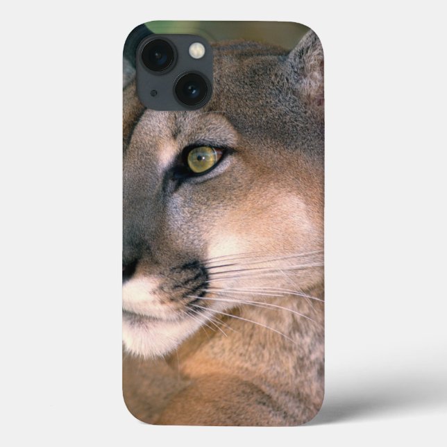 Funda De Case-Mate Para iPhone Cougar, California (Reverso)