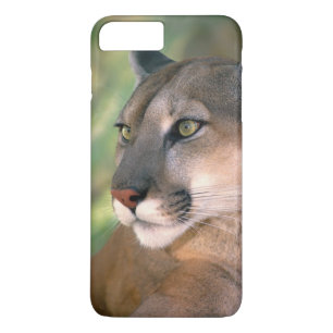 title_seo2 Cougar, California