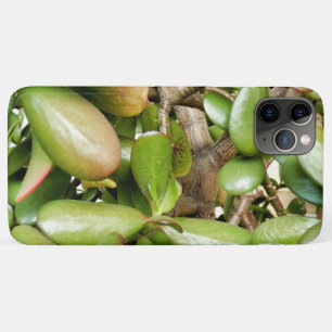 Funda Para iPhone 11 Pro Max Crassula ovata