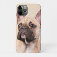 Crea tu propia foto de mascota personalizada