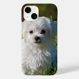 Funda Para iPhone 14 De Case-Mate Crear su propio Personalizado para añadir fotos