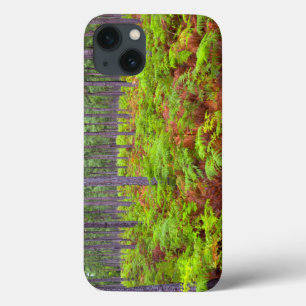 Funda Para iPhone 13 Crecimiento del Bracken Común (Pteridium Aquilinu