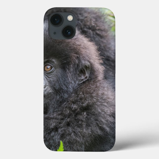 Funda De Case-Mate Para iPhone Cría de gorila de montaña (Reverso)