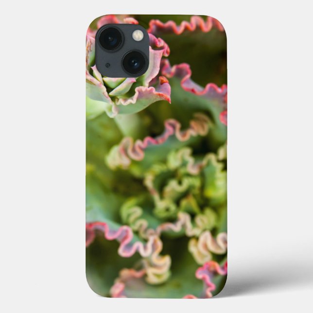 Funda De Case-Mate Para iPhone Cría emergente de una planta de Echeveria (Reverso)