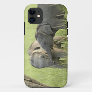 Funda Para iPhone 11 Crías de elefante indio / asiático