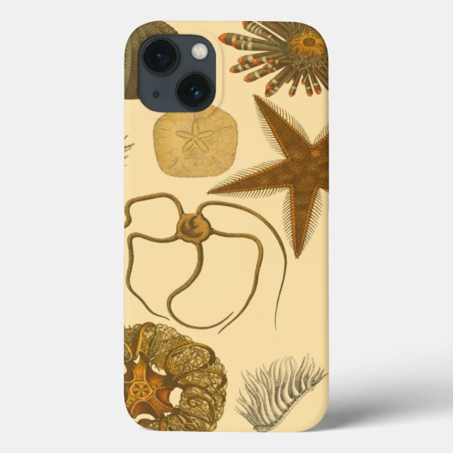 Funda De Case-Mate Para iPhone Criaturas submarinas (Reverso)