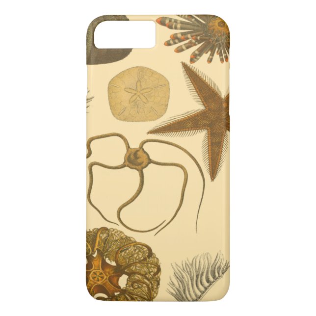 Funda De Case-Mate Para iPhone Criaturas submarinas (Reverso)