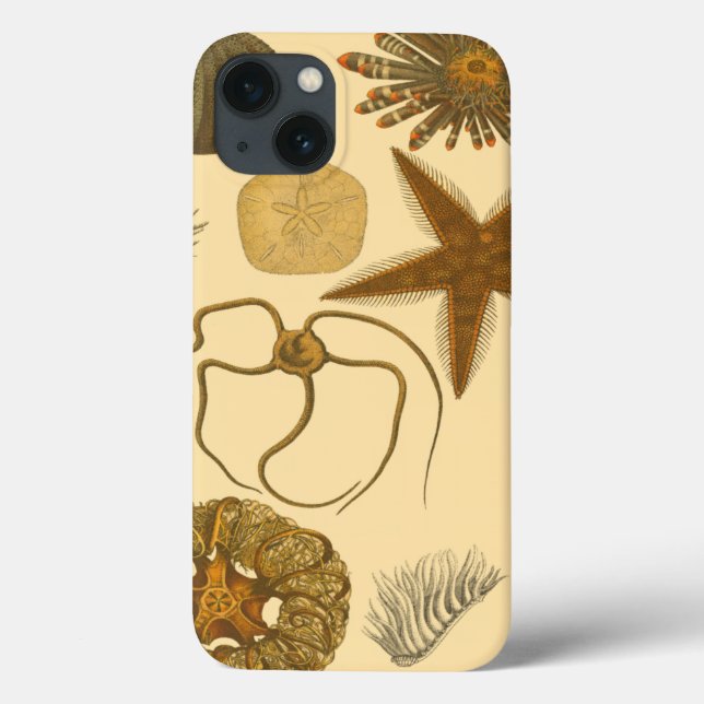 Funda De Case-Mate Para iPhone Criaturas submarinas (Reverso)