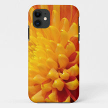 Crisantemo amarillo y Naranja