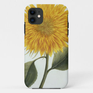 Funda Para iPhone 11 Crisantemo Indicum de 'Pythanthoza Iconograph